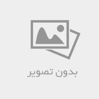 تأسیسات نظری
